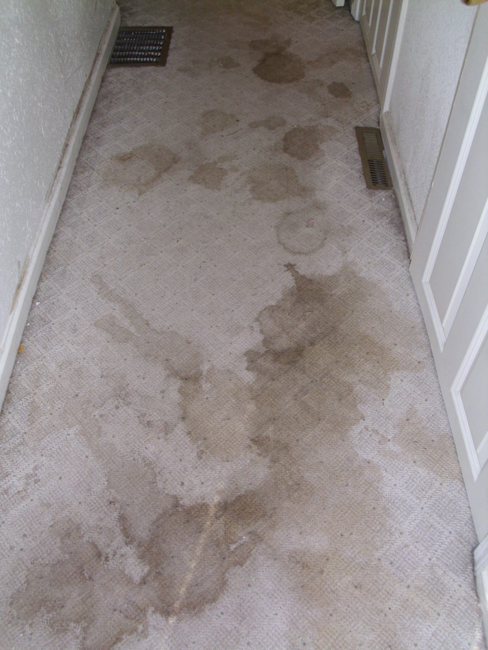 hallway with grungy stained carpet